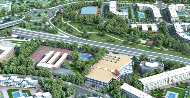 Imagen de la noticia