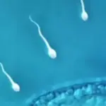 Escándalo en la reproducción asistida: un donante con mutación cancerígena concibió 197 hijos por toda Europa, 35 en España