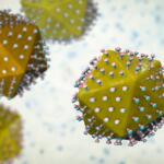 Cataluña confirma dos nuevos positivos de peste porcina y un foco de gripe aviar