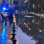 La borrasca Kristin deja una mujer herida en Sevilla capital y numerosas incidencias por la caída de decenas de árboles