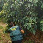 Violeta Mangriñán denuncia una oleada de robos en su local de té matcha: 