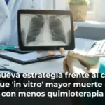 Una nueva estrategia frente al cáncer consigue 'in vitro' mayor muerte celular con menos quimioterapia