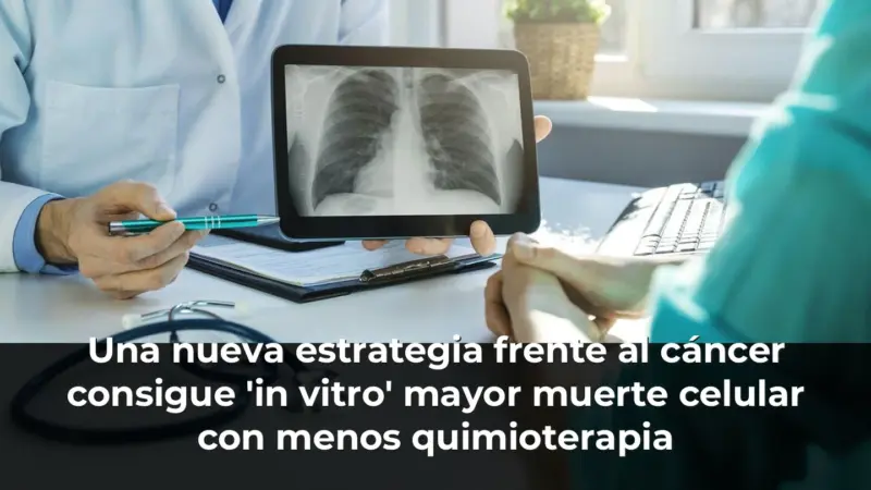 Una nueva estrategia frente al cáncer consigue 'in vitro' mayor muerte celular con menos quimioterapia