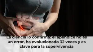 La ciencia lo confirma: el apéndice no es un error, ha evolucionado 32 veces y es clave para la supervivencia